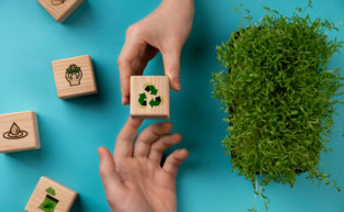 Consórcio como Alternativa para uma Economia Sustentável